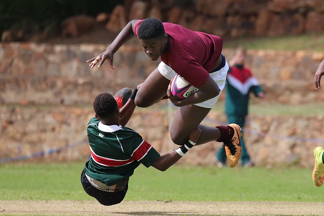 科技创新的 科技创新的