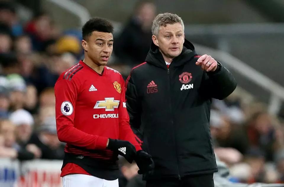 种对赛场激 种对赛场激